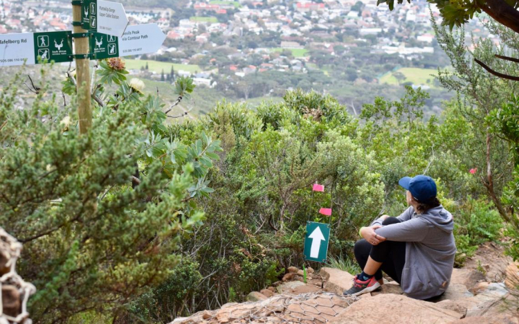 Table Mountain: What you need to know to take the cableway up and hike down