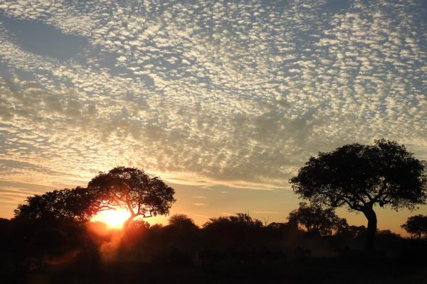 African Sunset